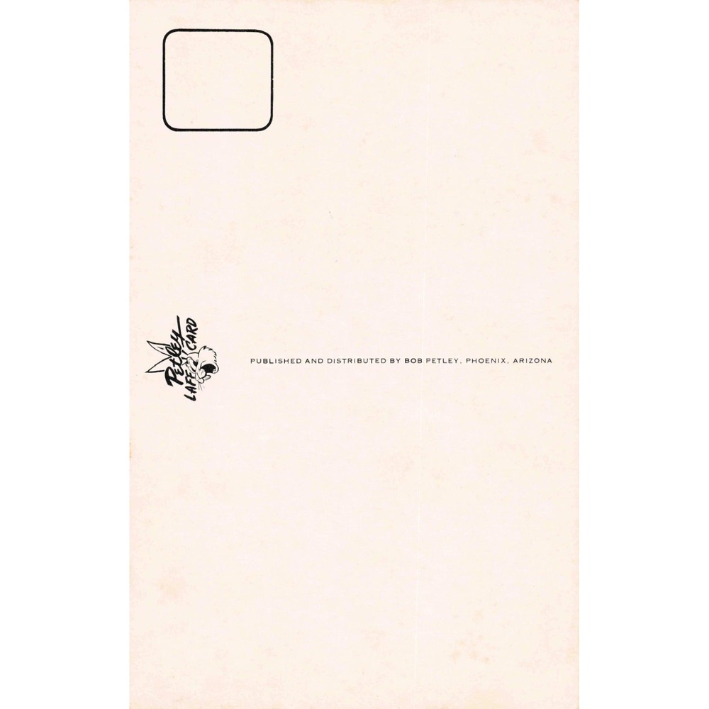 Vintage Bob Petley Laff Card C-39 Howdy From The Middle Of Nowhere Postcard - Picture 2 of 2